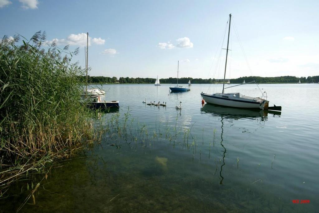 Noclegi Pod Modrzewiem Powidz  Buitenkant foto